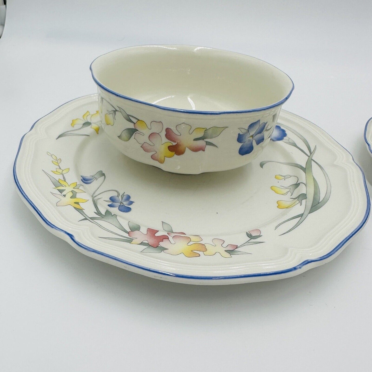 Villeroy & Boch Riviera Bowl and Dish Dinnerware Porcelain Luxembourg Set Serve