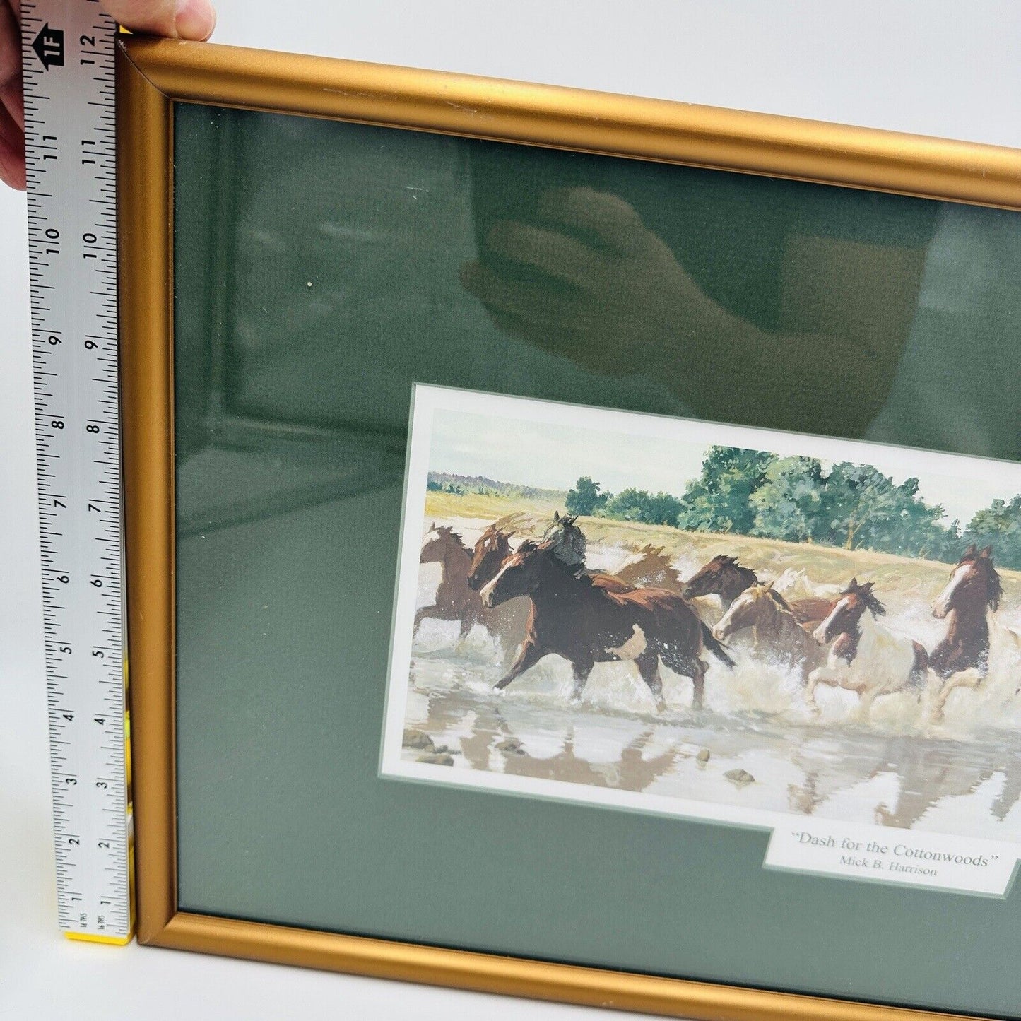 Mick B. Harrison Prints Dash For The Cottonwoods Signed COA Wall Art Horses