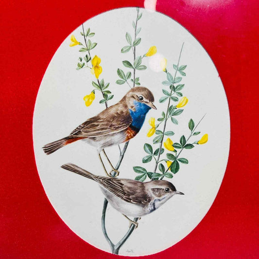 Anatole Marlin Bird Print Blue Throat Framed Art Home Decor Vintage Signed