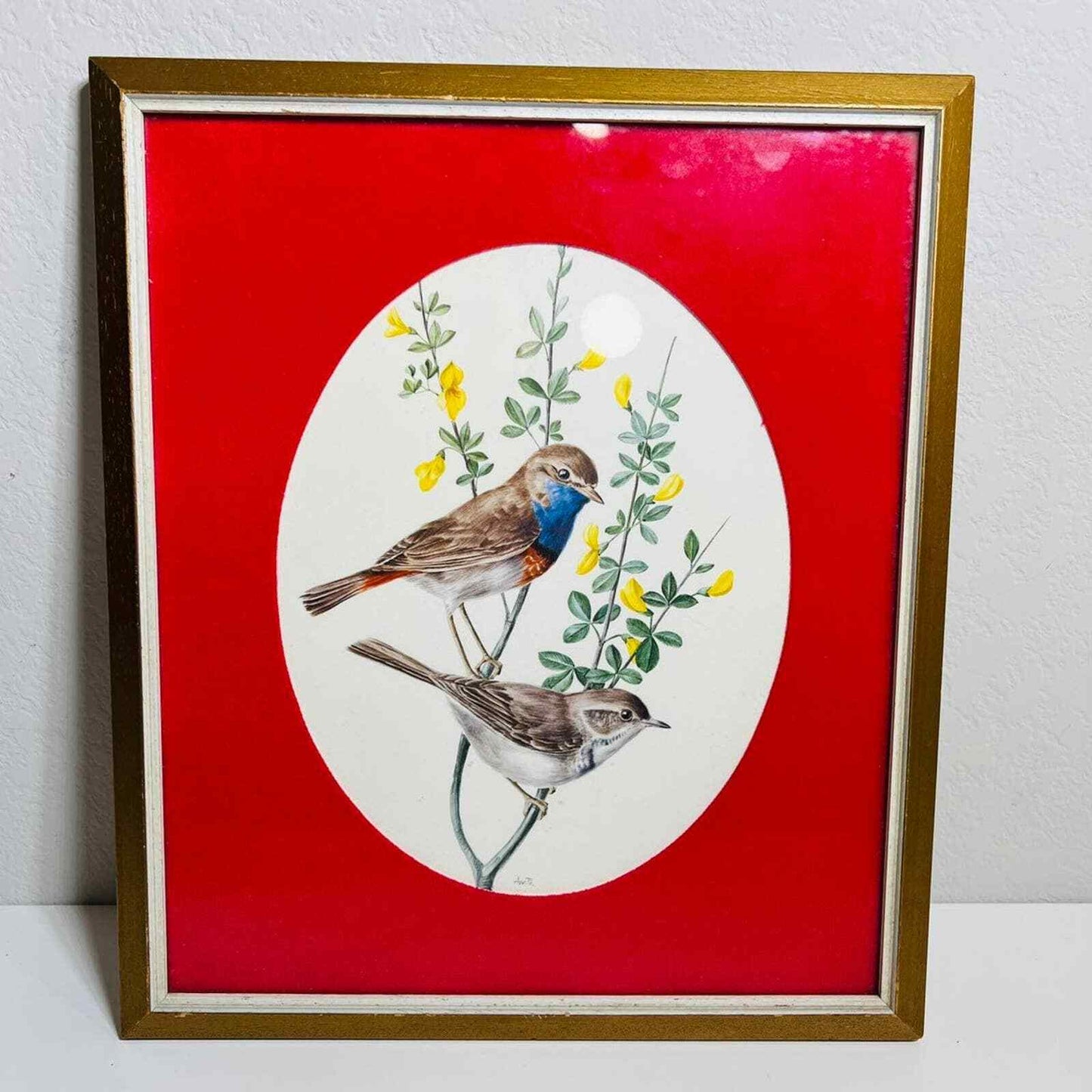 Anatole Marlin Bird Print Blue Throat Framed Art Home Decor Vintage Signed